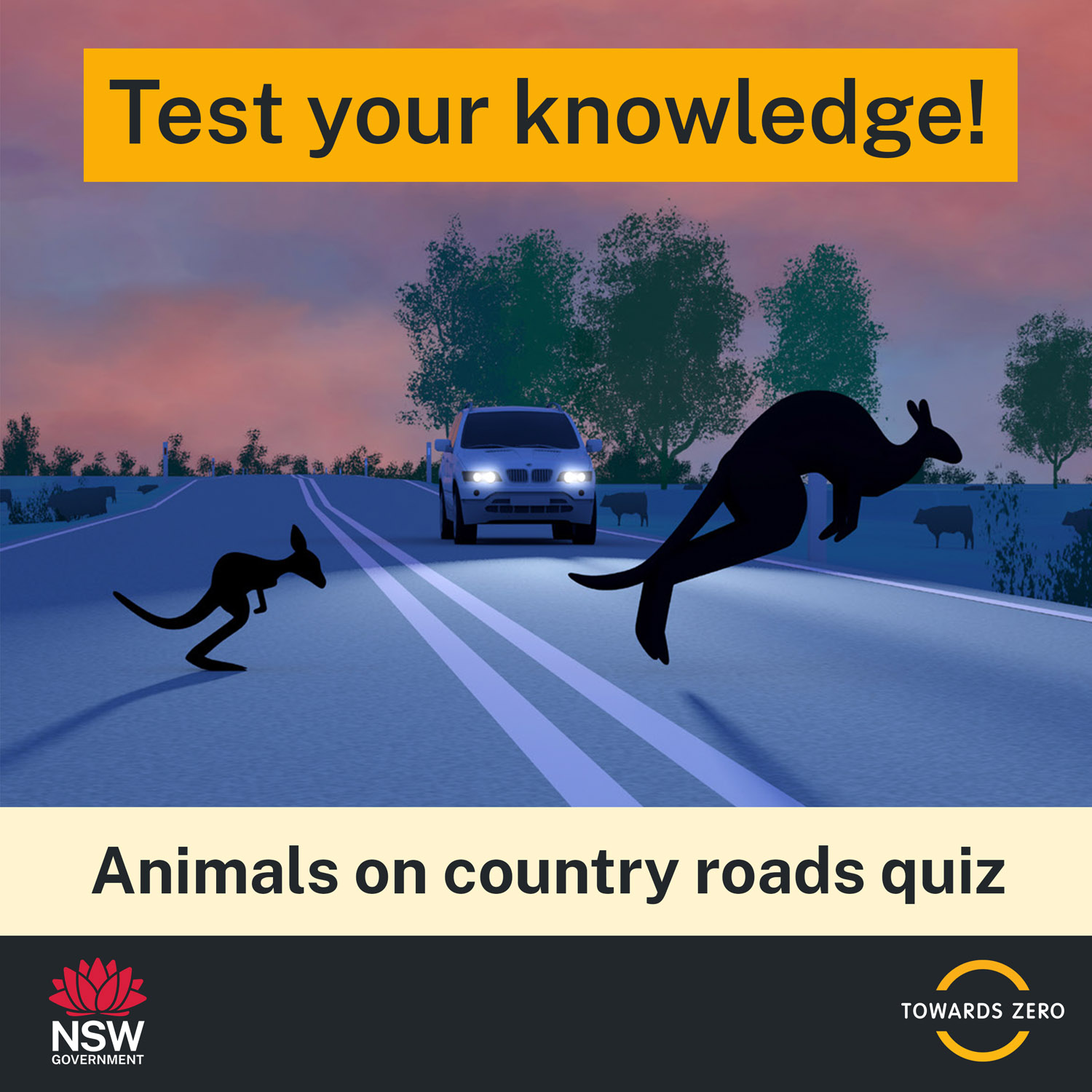 Animals on country roads quiz